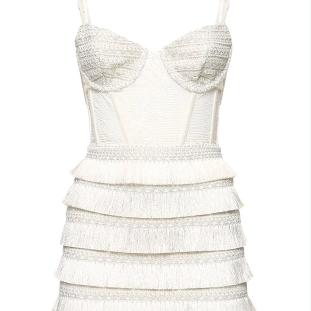 PatBO Metallic Fringe Bustier Mini Dress - Sold Out!